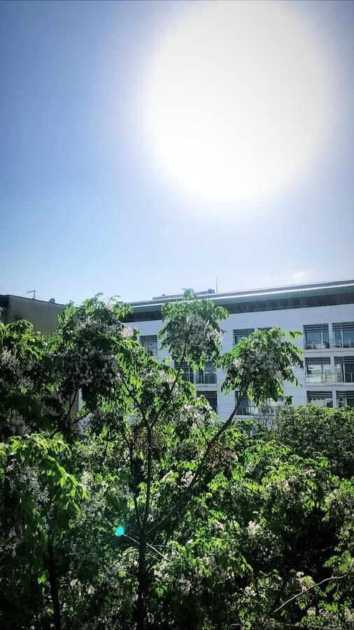 Апартаменты Top-Top Подгорица-12