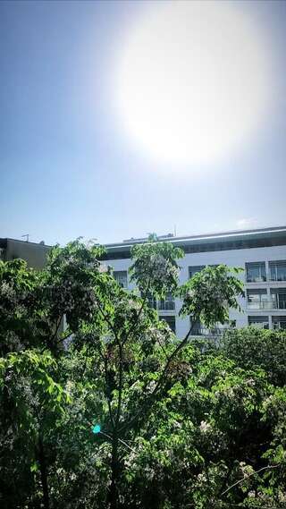 Апартаменты Top-Top Подгорица Апартаменты с 1 спальней-9